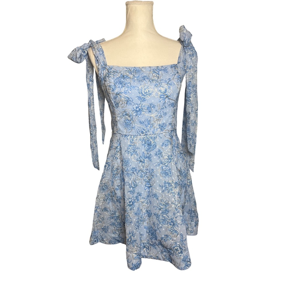 Francescas Mi Ami Fairycore Floral Metallic Rose Tie Shoulder Mini Dress Cottage